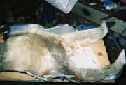 rawfiberglass1.jpg